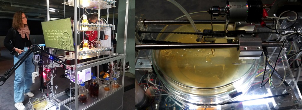 "Ecolalia" - Klaus Spiess, Ulla Rauter, Emanuel Gollob, Rotraud Kern