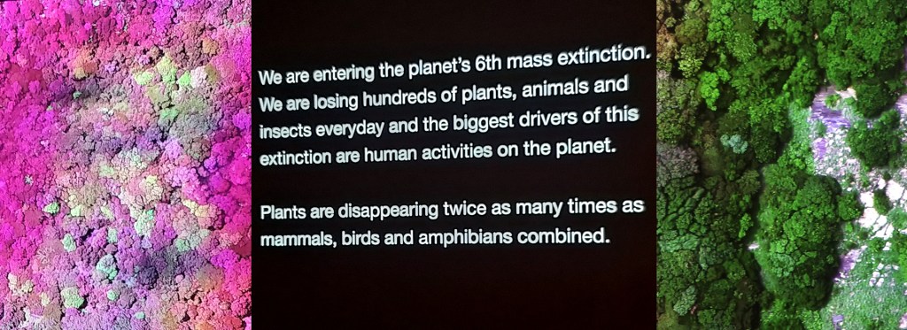 "Living Dead - On the Trail of a Female" - Laura Cinti